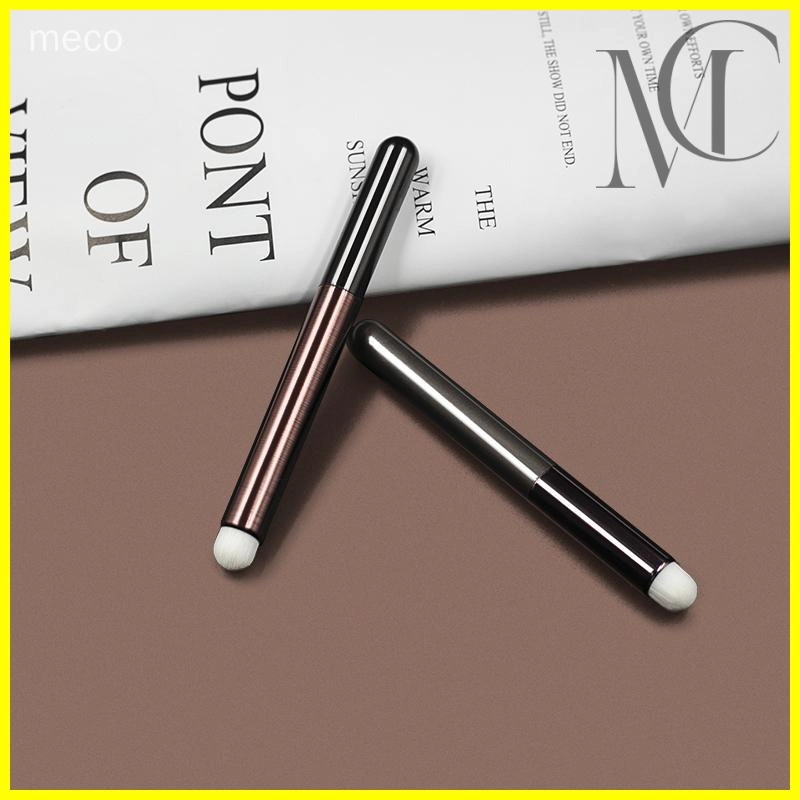 Convenient lip brush