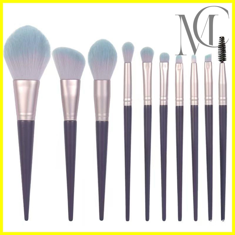 Antibacterial makeup brush set